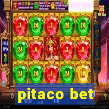 pitaco bet